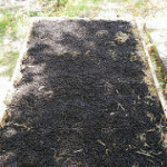 Photo of a finished, raised strawbale garden bed.