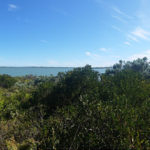 Panorama of the Coorong in October 2016