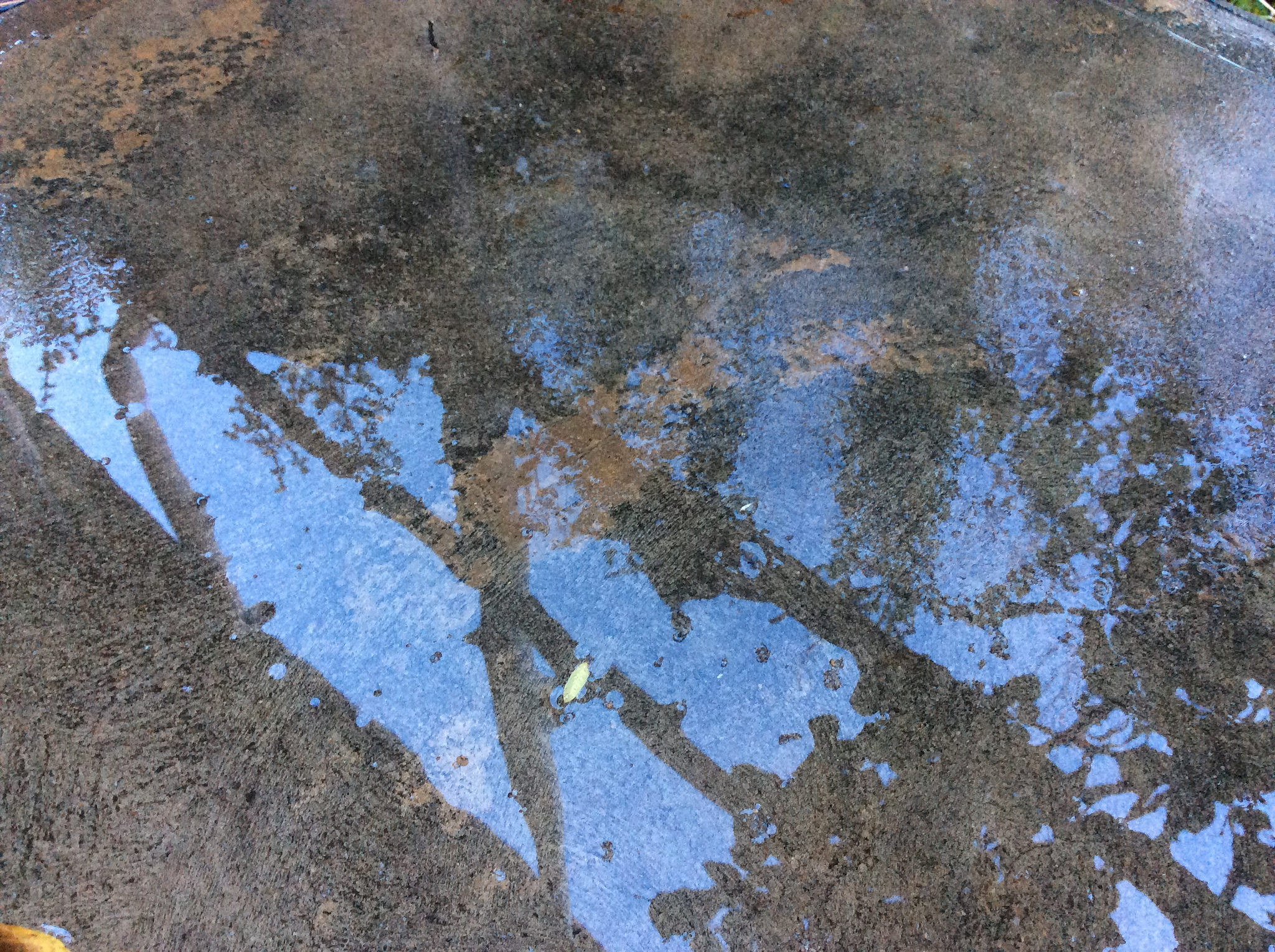 Puddle with sky reflection