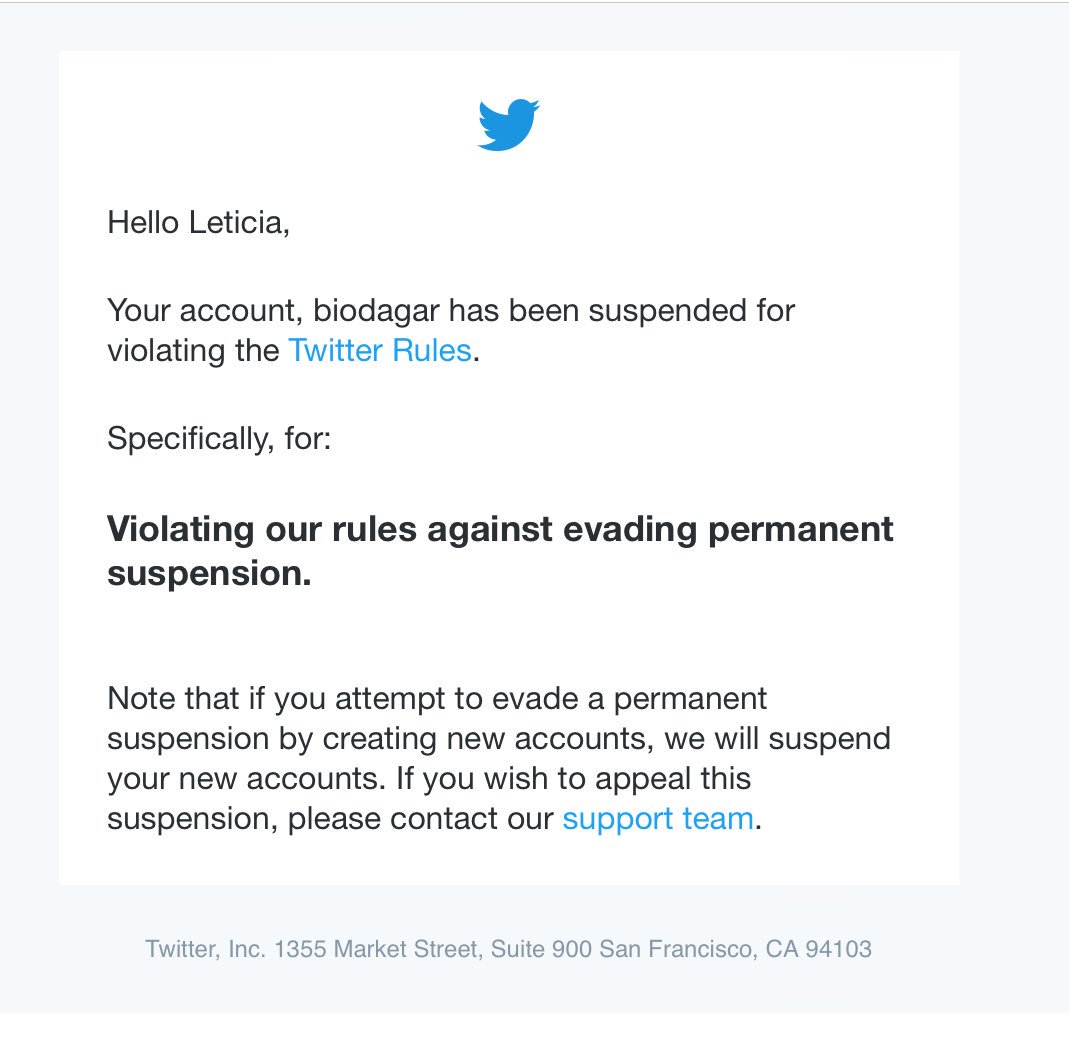 Twitter suspention for 'evading permanent suspension'