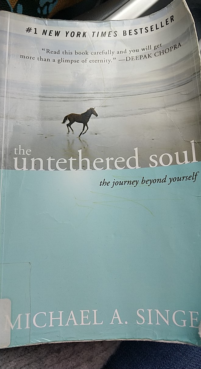BOOK REVIEW ] The Untethered Soul, by Michael A. Singer (New Harbinger) |  Leticia Mooney