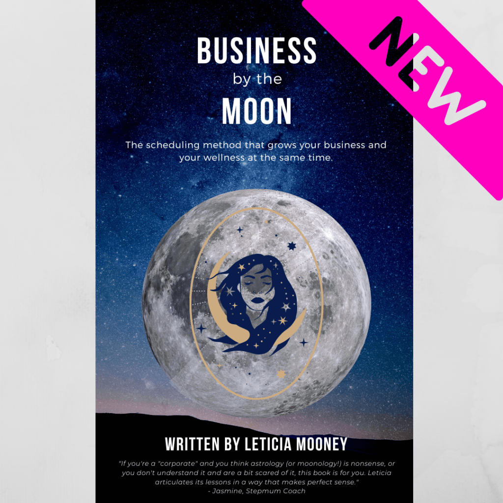 Book cover art for Business by the Moon